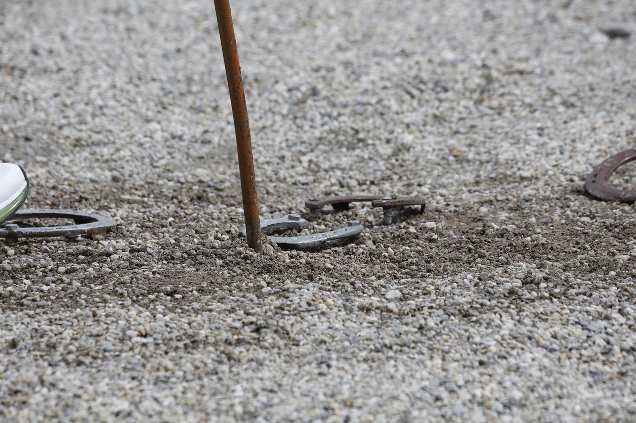Horseshoe toss